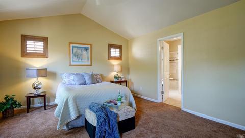 361 Arabian Way, Healdsburg, CA 95448 photo 29