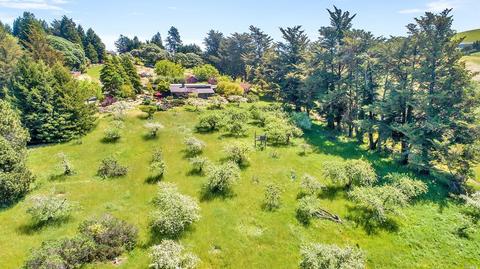 3060 Burnside Rd, Sebastopol, CA 95472 photo 38