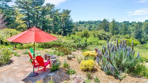 3060 Burnside Rd, Sebastopol, CA 95472 photo 33
