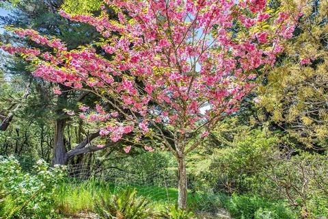 3060 Burnside Rd, Sebastopol, CA 95472 photo 43