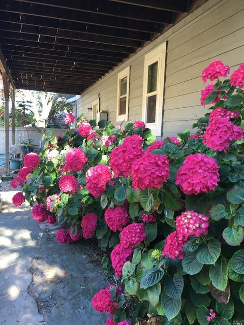 222 Windsor Dr, Petaluma, CA 94952 photo 20