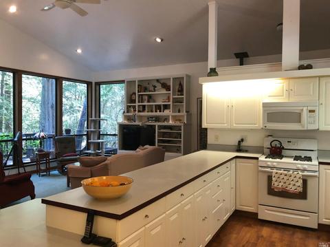 1121 Perch Ln, Willits, CA 95490 photo 6