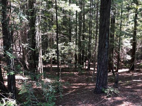 1121 Perch Ln, Willits, CA 95490 photo 23
