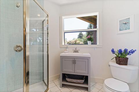 258 Hillside Ave, Mill Valley, CA 94941 photo 48