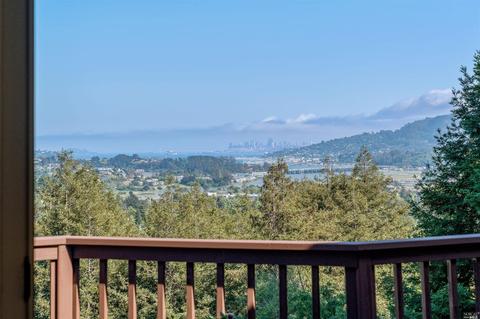 258 Hillside Ave, Mill Valley, CA 94941 photo 43