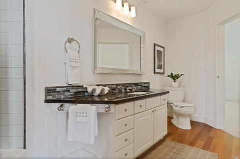 258 Hillside Ave, Mill Valley, CA 94941 photo 46