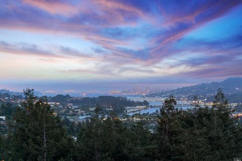 258 Hillside Ave, Mill Valley, CA 94941 photo 4