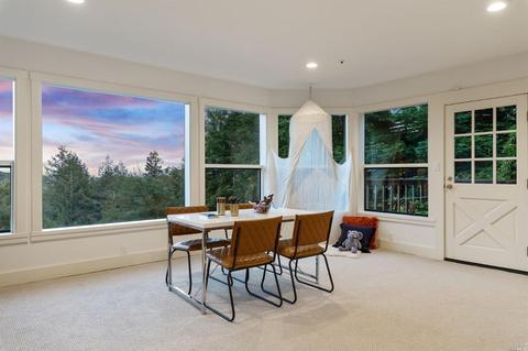 258 Hillside Ave, Mill Valley, CA 94941 photo 14