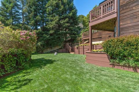 258 Hillside Ave, Mill Valley, CA 94941 photo 35