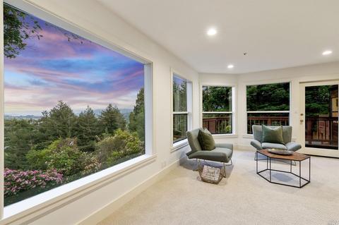 258 Hillside Ave, Mill Valley, CA 94941 photo 29