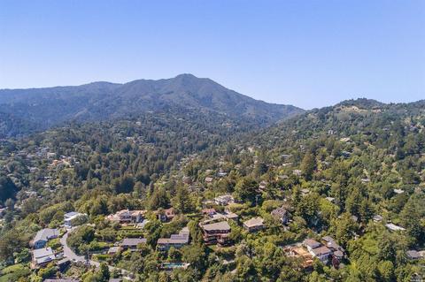258 Hillside Ave, Mill Valley, CA 94941 photo 42