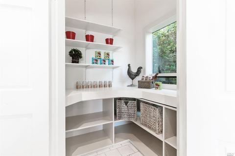 258 Hillside Ave, Mill Valley, CA 94941 photo 25