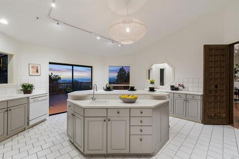 258 Hillside Ave, Mill Valley, CA 94941 photo 26