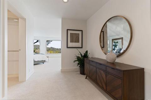 258 Hillside Ave, Mill Valley, CA 94941 photo 28