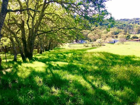 Undisclosed, Healdsburg, CA 95448 photo 5