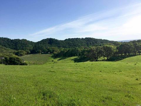 Undisclosed, Healdsburg, CA 95448 photo 3