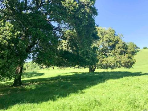 Undisclosed, Healdsburg, CA 95448 photo 4
