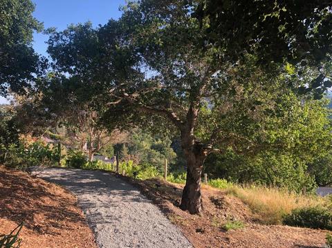 43 Tomahawk Dr, San Anselmo, CA 94960 photo 19
