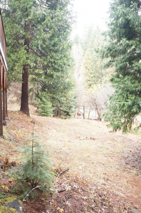 101 Millview Dr, Trinity Center, CA 96091 photo 23