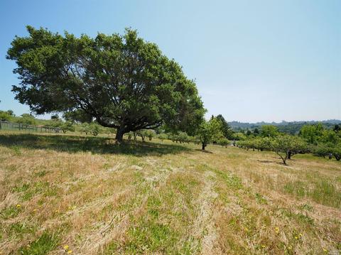 1295 Burnside Rd, Sebastopol, CA 95472 photo 31