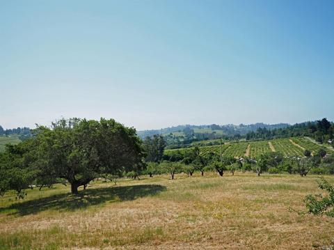 1295 Burnside Rd, Sebastopol, CA 95472 photo 33