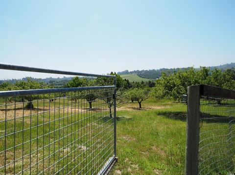 1295 Burnside Rd, Sebastopol, CA 95472 photo 34