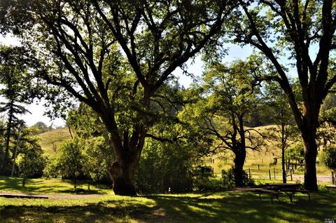 3951 Muir Mill Rd, Willits, CA 95490 photo 39