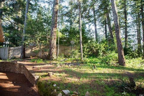 100 Cold Springs Rd, Angwin, CA 94508 photo 8