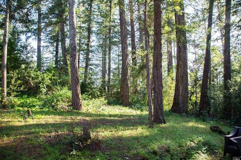 100 Cold Springs Rd, Angwin, CA 94508 photo 7