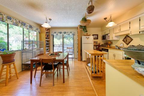 4350 Daisy Dr, Willits, CA 95490 photo 6