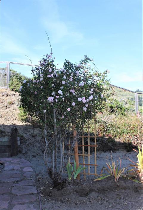220 Miwok Rd, Bodega Bay, CA 94923 photo 32