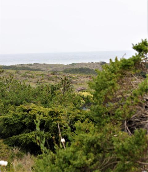 220 Miwok Rd, Bodega Bay, CA 94923 photo 46