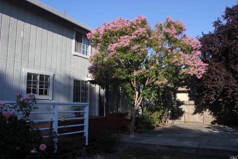 1152 Daniel Dr, Petaluma, CA 94954 photo 21