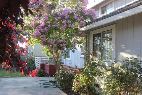 1152 Daniel Dr, Petaluma, CA 94954 photo 2