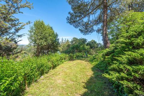 666 Sequoia Valley Rd, Mill Valley, CA 94941 photo 4