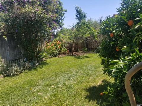 1392 Sanderling Dr, Fairfield, CA 94533 photo 14