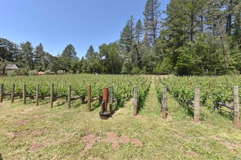 544 Liparita Ave, Angwin, CA 94508 photo 38