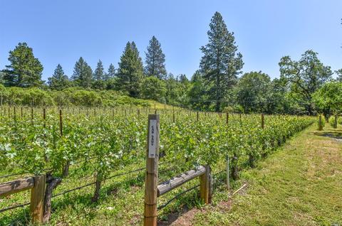 544 Liparita Ave, Angwin, CA 94508 photo 41