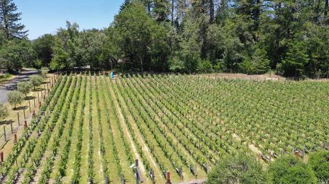 544 Liparita Ave, Angwin, CA 94508 photo 4