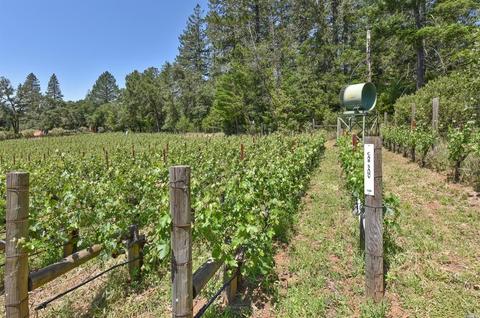 544 Liparita Ave, Angwin, CA 94508 photo 40