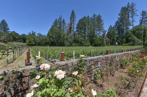 544 Liparita Ave, Angwin, CA 94508 photo 37