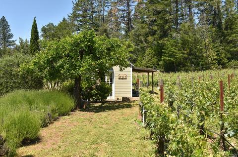 544 Liparita Ave, Angwin, CA 94508 photo 18