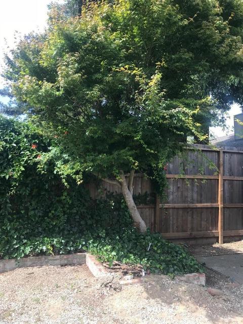 34 Echo Ave, Corte Madera, CA 94925 photo 7