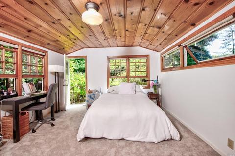 259 Corte Madera Ave, Mill Valley, CA 94941 photo 22