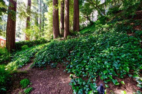 259 Corte Madera Ave, Mill Valley, CA 94941 photo 27