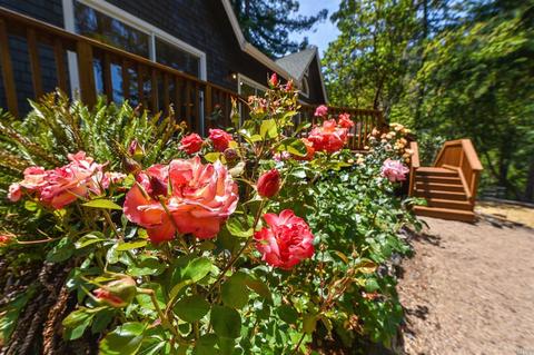 27 Spring Rd, Lagunitas, CA 94938 photo 35