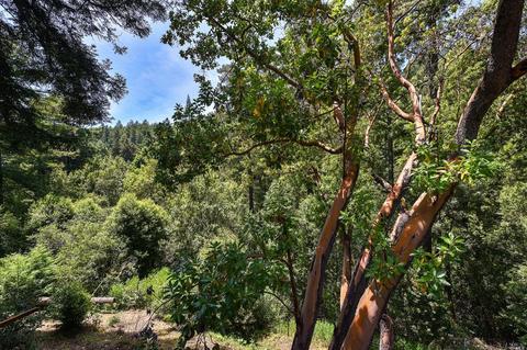 27 Spring Rd, Lagunitas, CA 94938 photo 29
