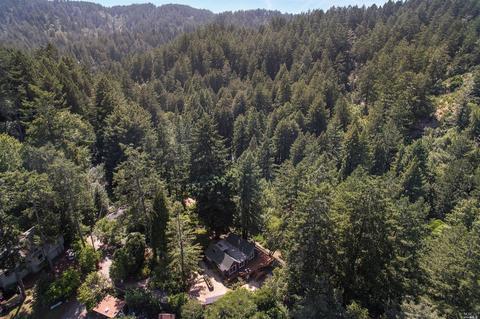 27 Spring Rd, Lagunitas, CA 94938 photo 47