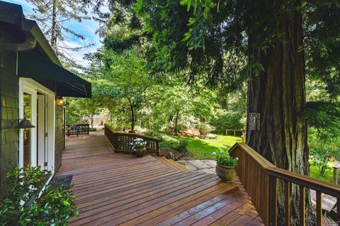 27 Spring Rd, Lagunitas, CA 94938 photo 32