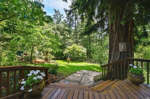 27 Spring Rd, Lagunitas, CA 94938 photo 26